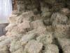 Lucerka, seno u balama težine 12-14 kg, cena 180 din/bali