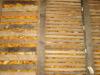 Kukuruz u klipu 2000 kg, 12,00 din/kg