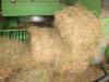 Lucerka seno u balama -100 komada težine 15 kg, cena 250 dinara po bali