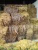 300 bala lucerkinog sena 15-25 kg