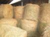 Lucerka seno u rolo balama 1000 kg po ceni od 15,00 dinara po kg